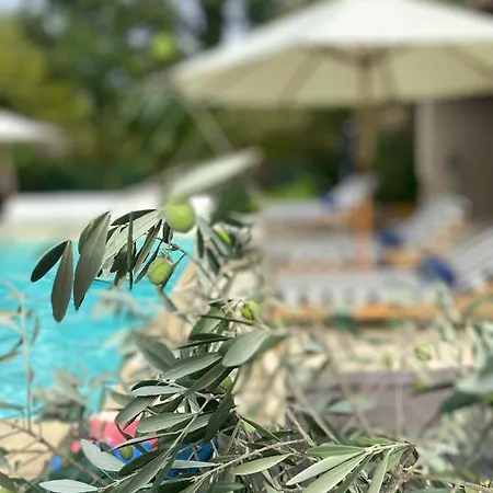 Villa Florence Alet-les-Bains